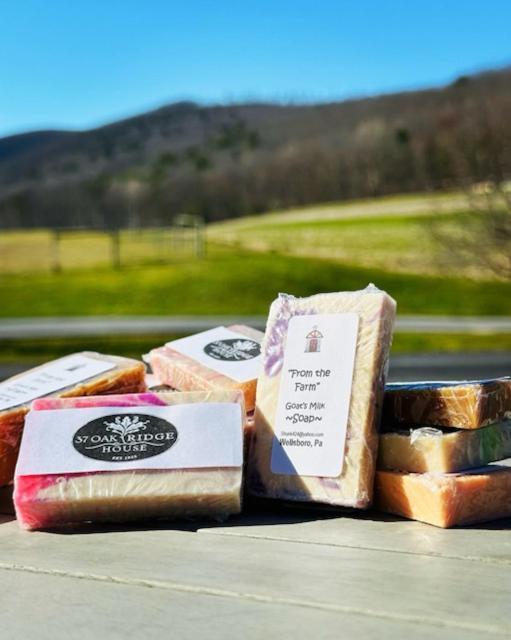 ウェルズボロ 37 Oak Ridge House Bed & Breakfast エクステリア 写真